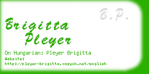 brigitta pleyer business card